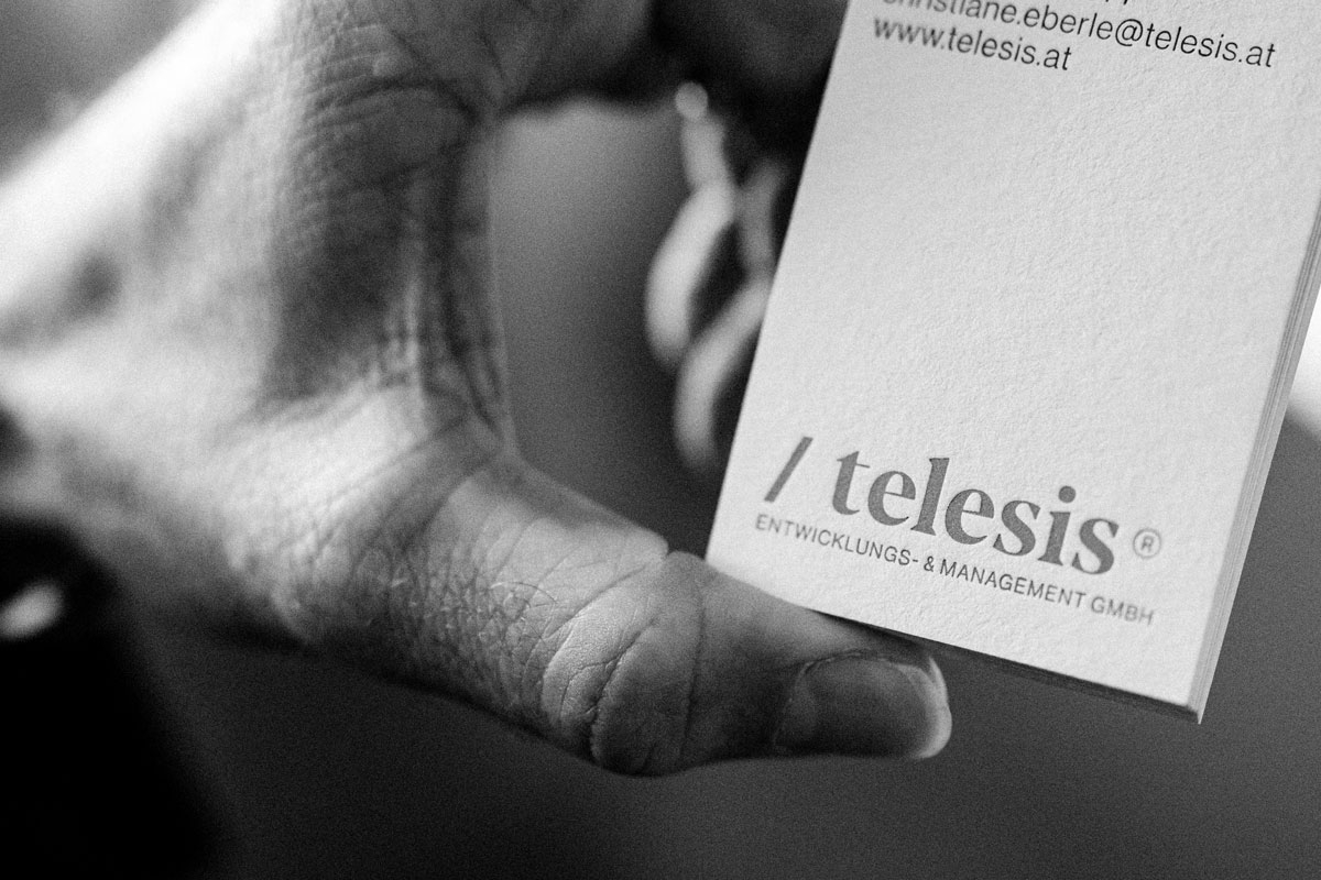 Telesis Visitenkarte