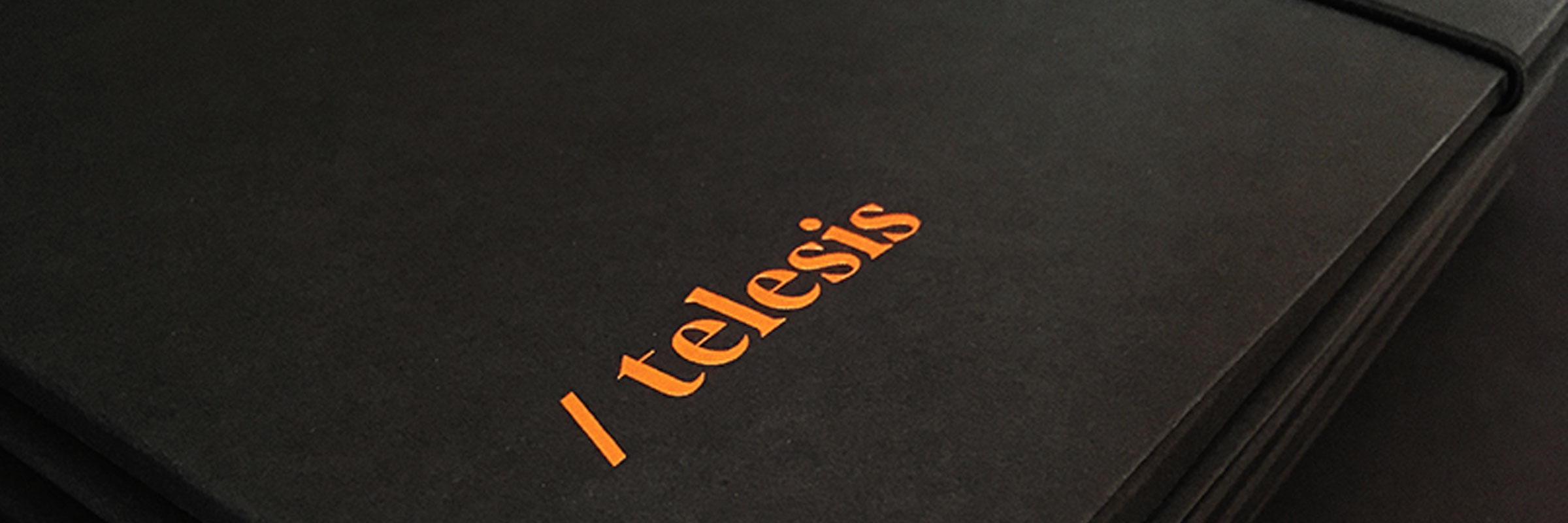 Telesis CI Banner